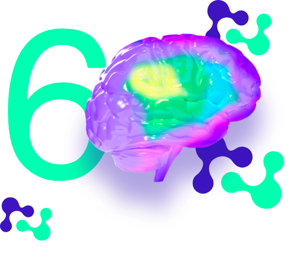 Illustration du cerveau pour le Webinaire 6